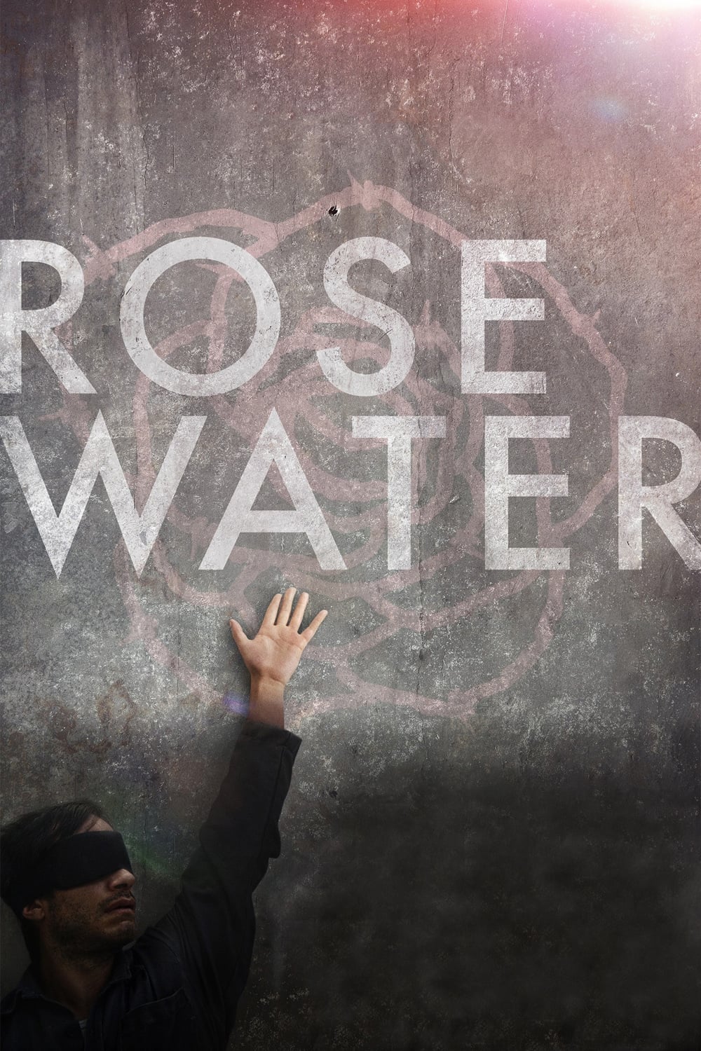Постер Rosewater